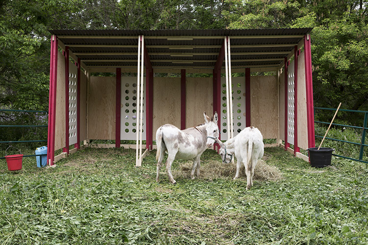 Gareth Long - Travels with Two Donkeys in the Valley